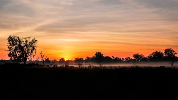 Winter Sunrise in the Outback by Lexa Harpell